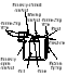Click for large version of picture