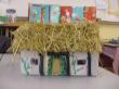 Model Tudor house by pupils from Class 2 and 3 - click for full size image